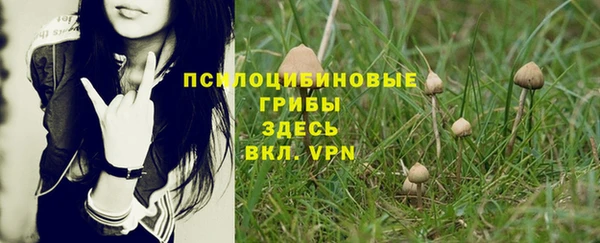 2c-b Касимов