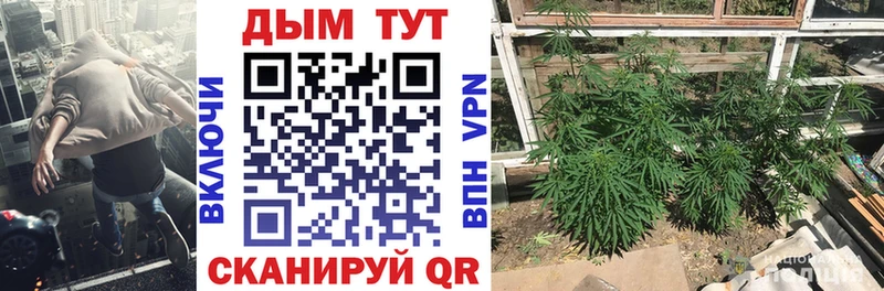 МАРИХУАНА Ganja  Купить  Коряжма 